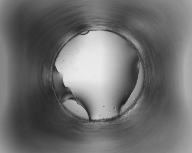 X0000093511193200711091715