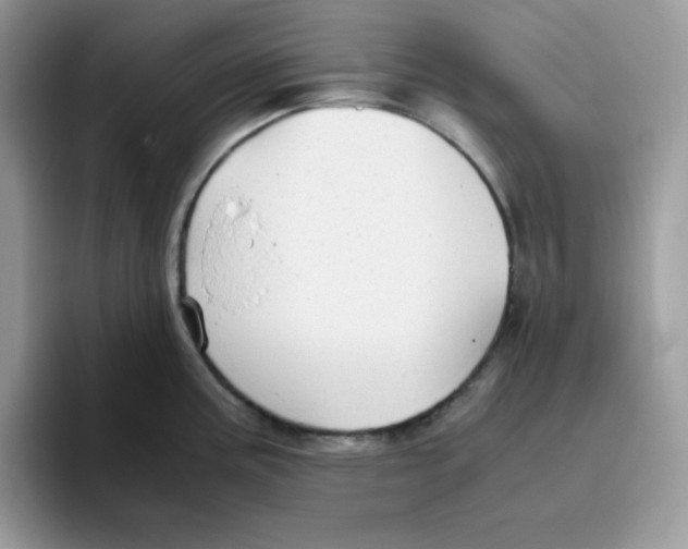 X0000093511195200711091715