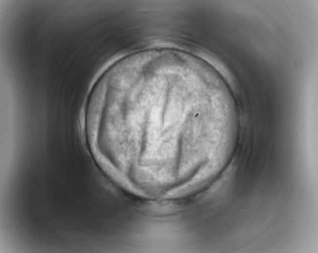 X0000093511198200711091715