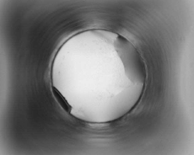 X0000093511200200711091715