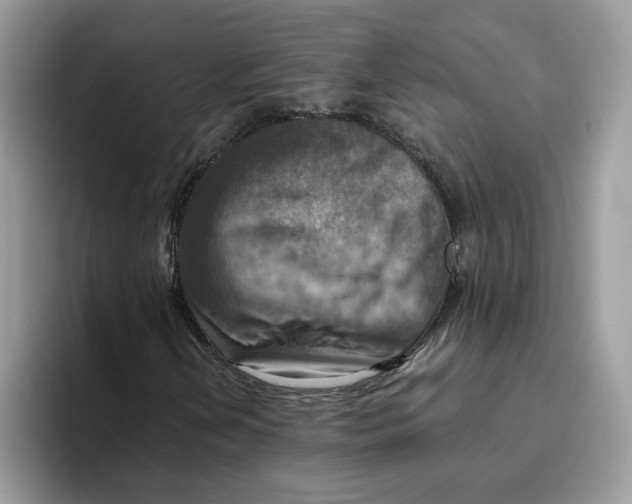 X0000093511202200711091715