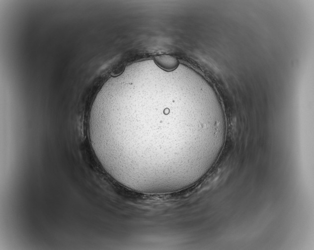 X0000093511205200711091715