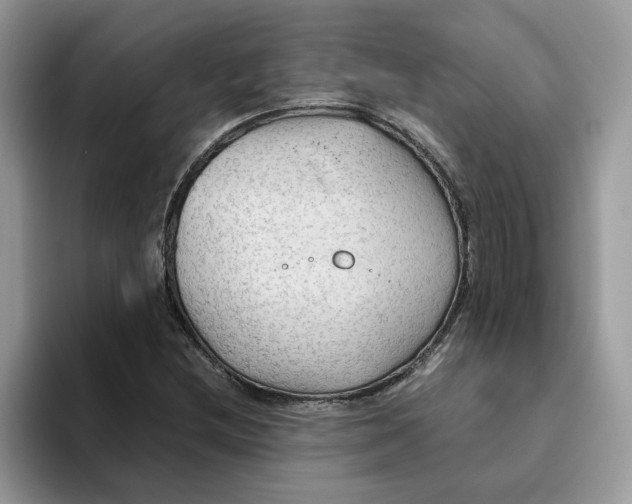 X0000093511212200711091715