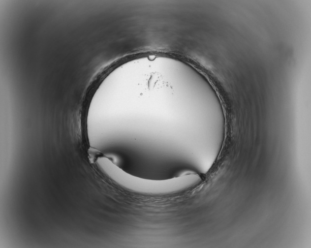 X0000093511214200711091715