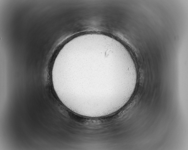 X0000093511215200711091715