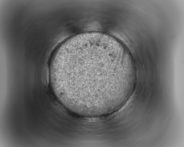 X0000093511219200711091715