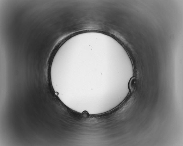 X0000093511222200711091715