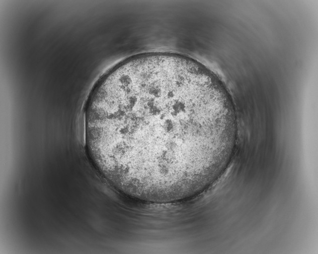 X0000093511223200711091715