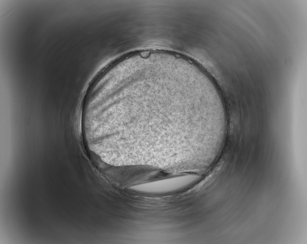 X0000093511224200711091715