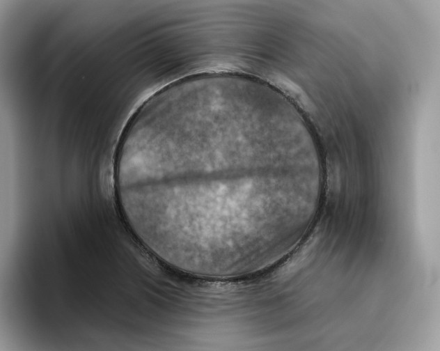 X0000093511226200711091715