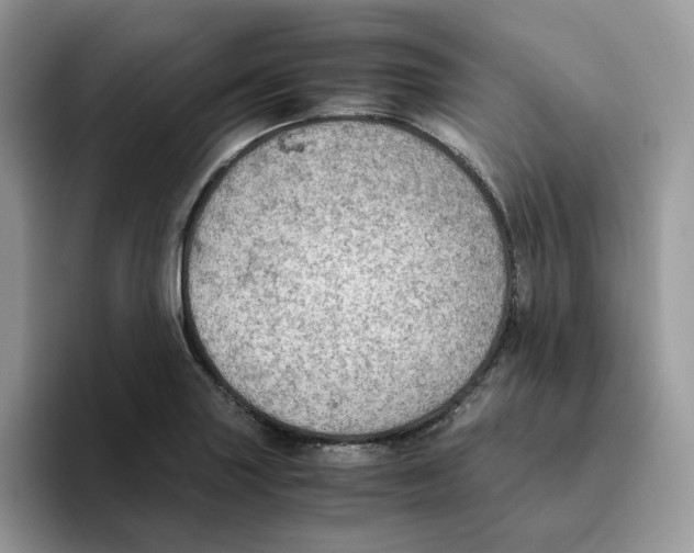 X0000093511227200711091715