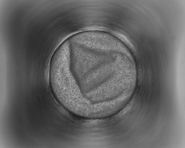 X0000093511228200711091715