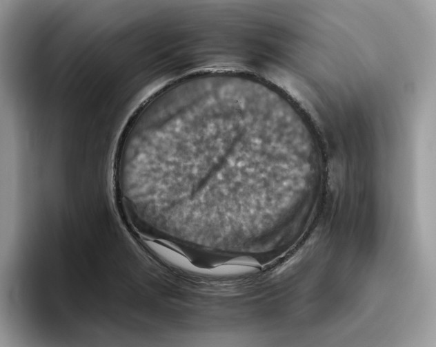 X0000093511229200711091715