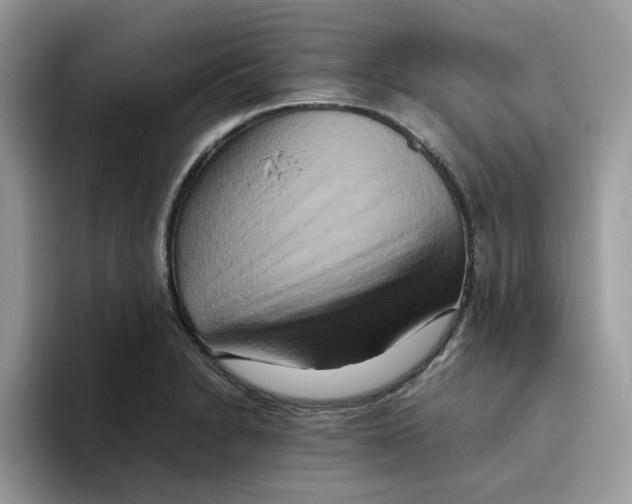 X0000093511230200711091715