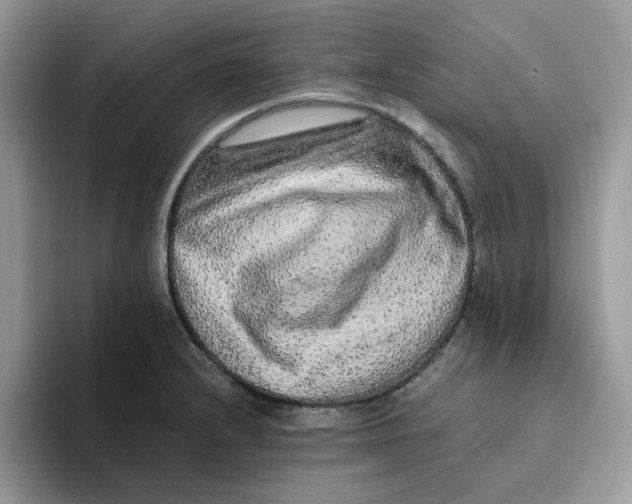 X0000093511232200711091715