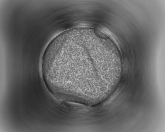 X0000093511235200711091715