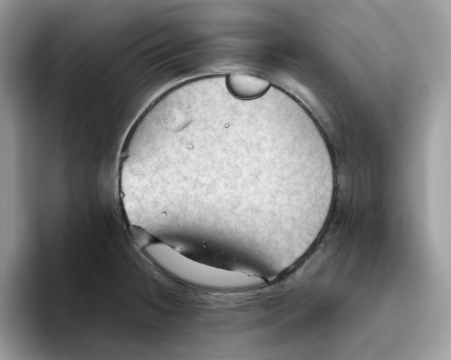 X0000093511236200711091715