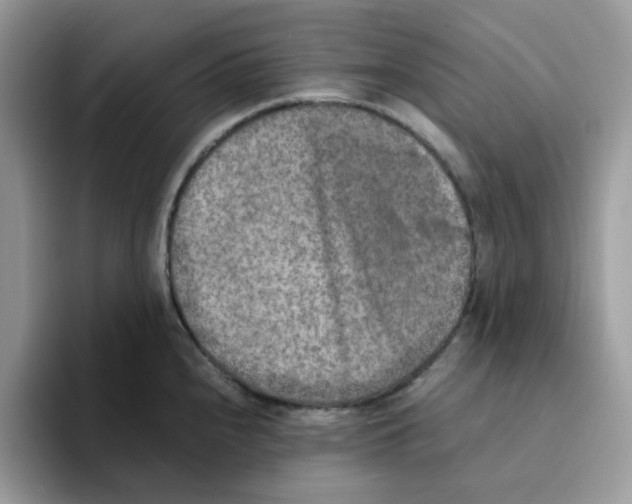 X0000093511240200711091715