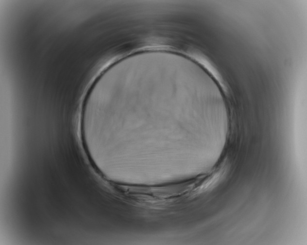 X0000093511245200711091715