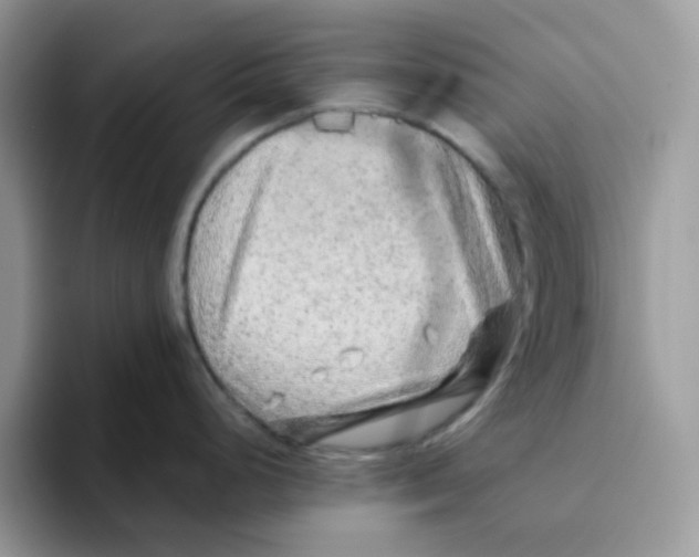 X0000093511248200711091715