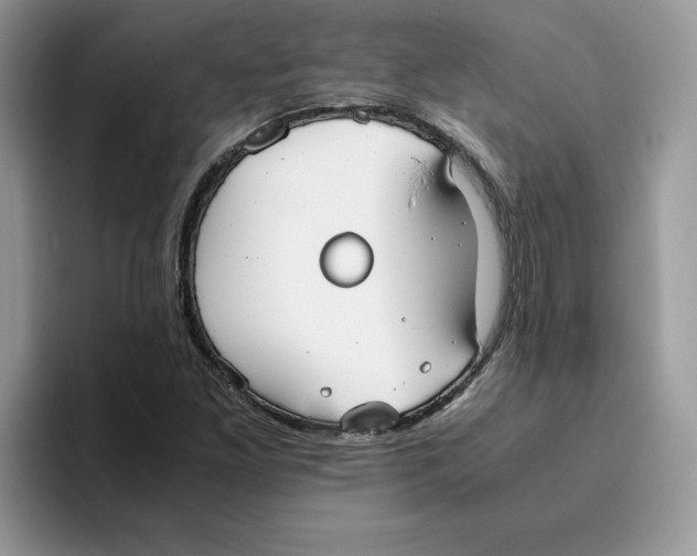 X0000093511261200711091715