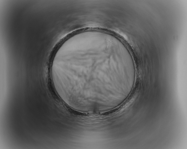 X0000093511263200711091715