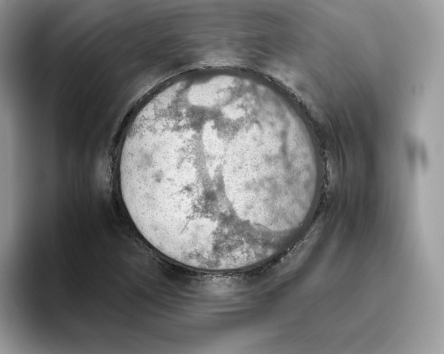 X0000093511266200711091714