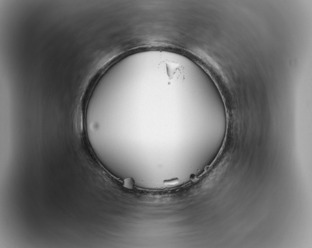 X0000093511269200711091714