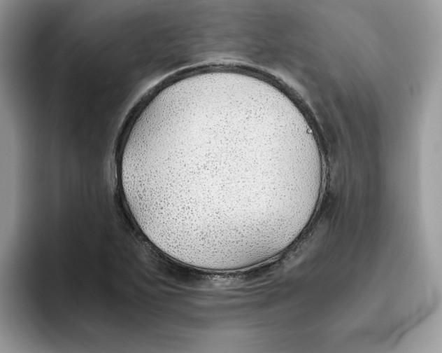 X0000093511271200711091714