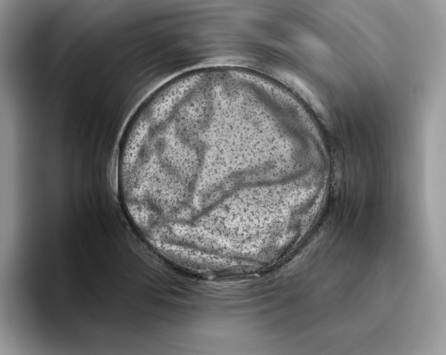 X0000093511276200711091714