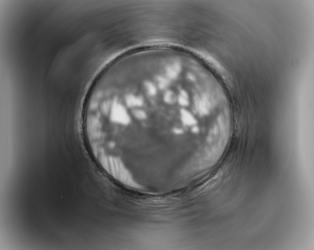 X0000093511279200711091714