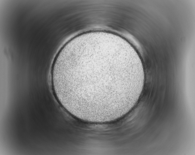 X0000093511287200711091714