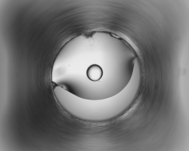 X0000093511289200711091714