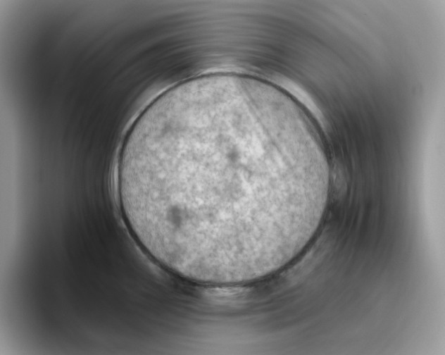 X0000093511290200711091714