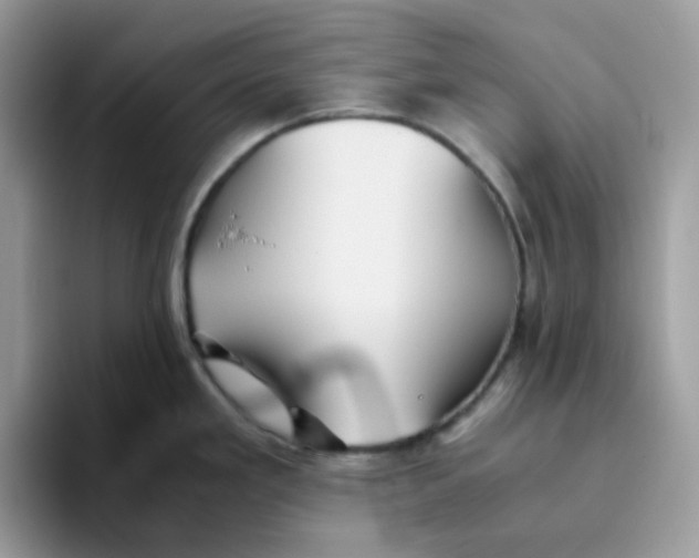 X0000093511293200711091714