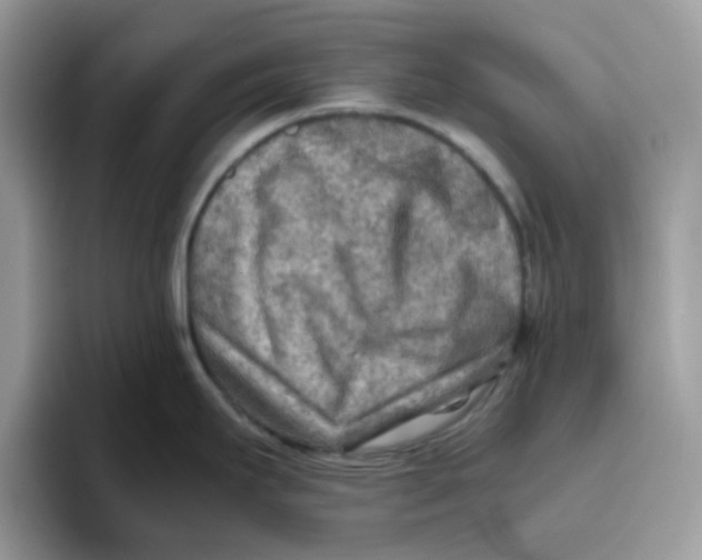 X0000093511295200711091714