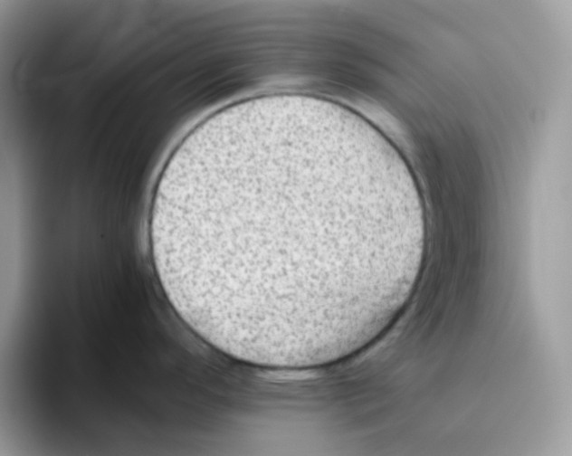 X0000093511296200711091714