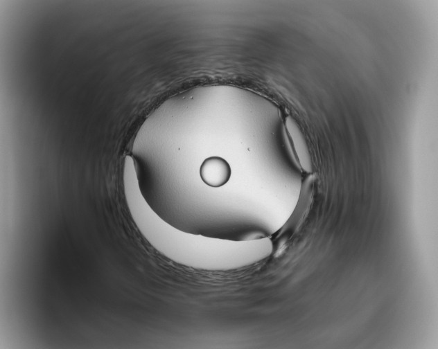 X0000093511298200711091714