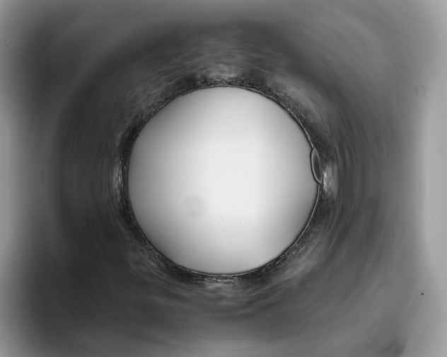 X0000093511299200711091714