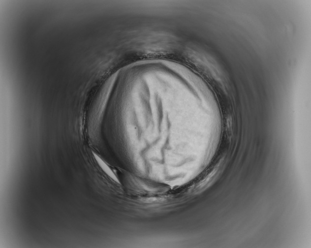 X0000093511300200711091714