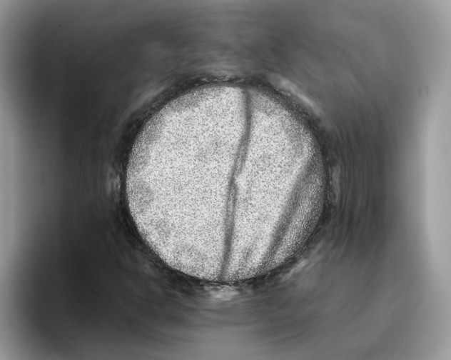 X0000093511302200711091714