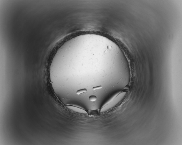 X0000093511304200711091714