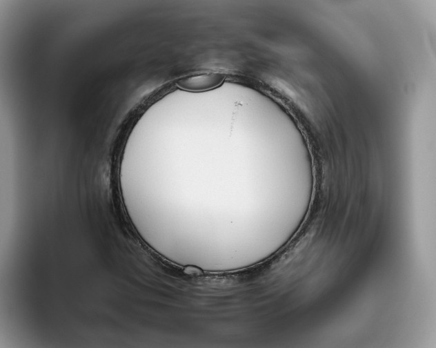 X0000093511307200711091714