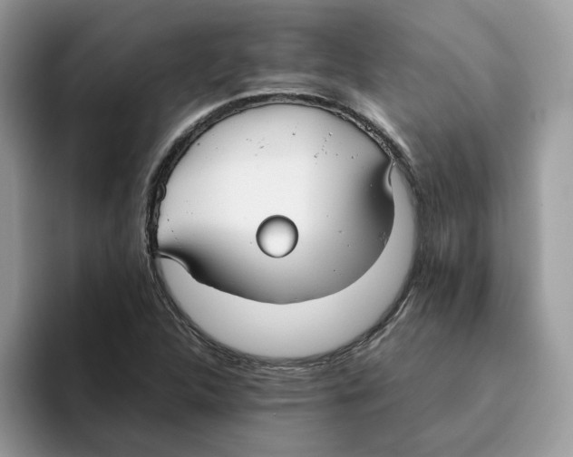 X0000093511312200711091714