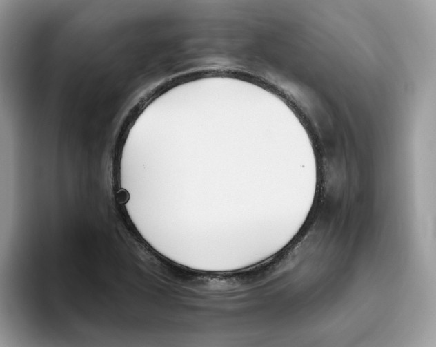 X0000093511318200711091714