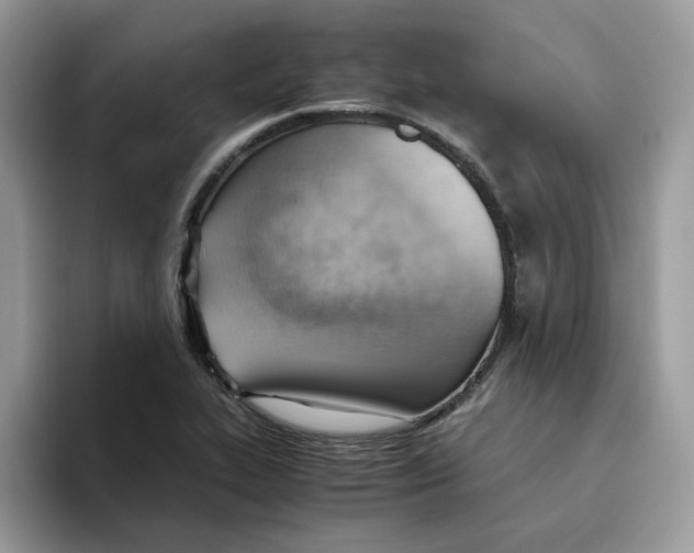 X0000093511319200711091714