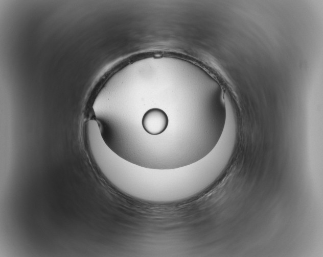 X0000093511320200711091714