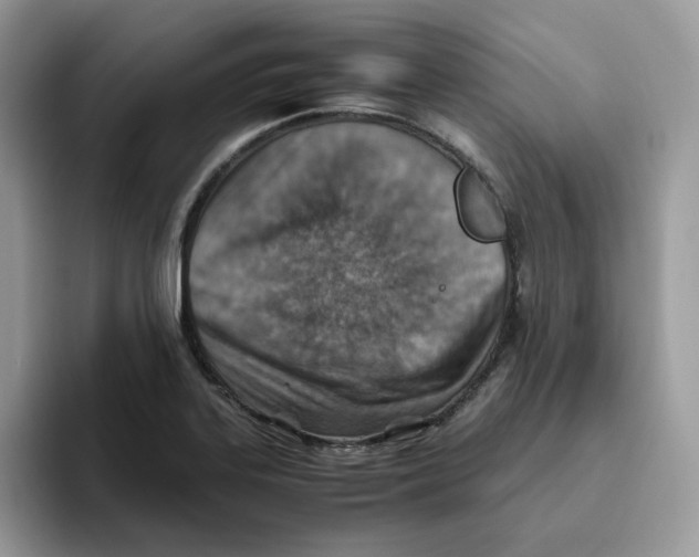 X0000093511323200711091714