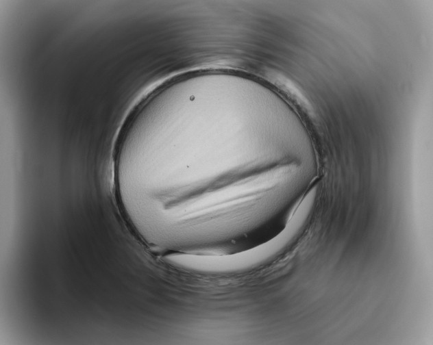 X0000093511324200711091714