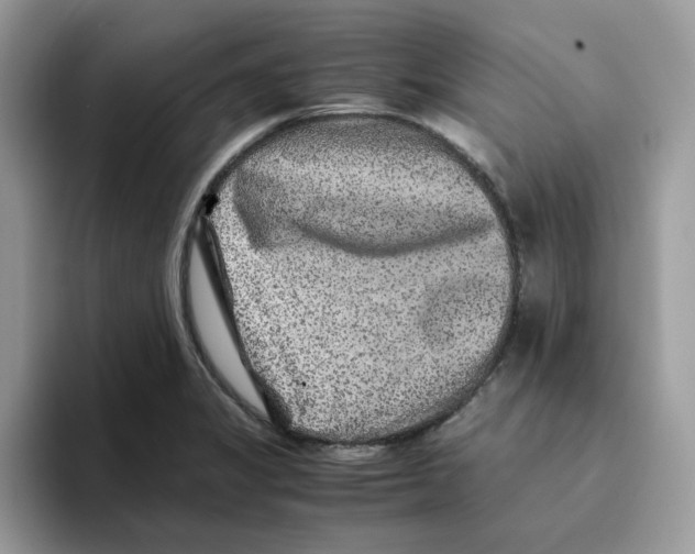 X0000093511325200711091714